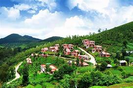 Chennai Ooty Family Tour